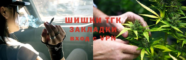 прущие грибы Медногорск