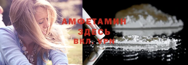 прущие грибы Медногорск