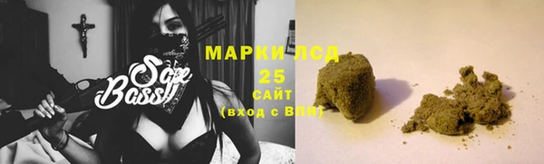 прущие грибы Медногорск