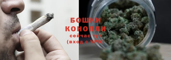 прущие грибы Медногорск