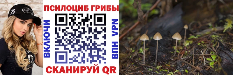 Псилоцибиновые грибы GOLDEN TEACHER  Белоусово 